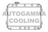HONDA 19010676641 Radiator, engine cooling